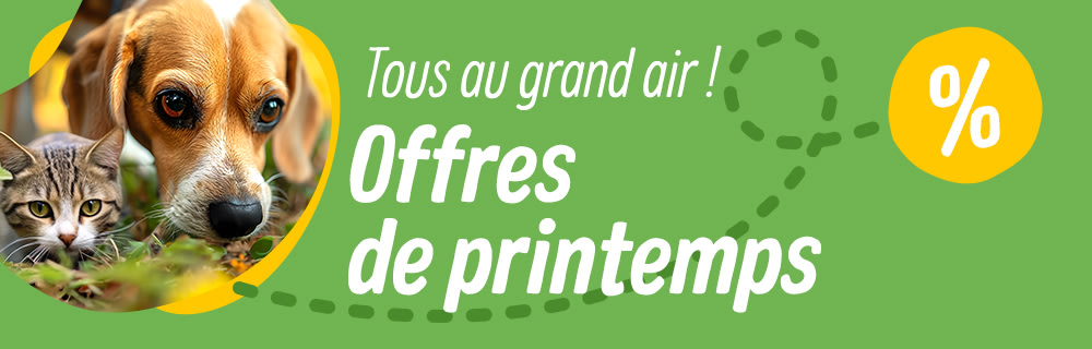 Offres de printemps