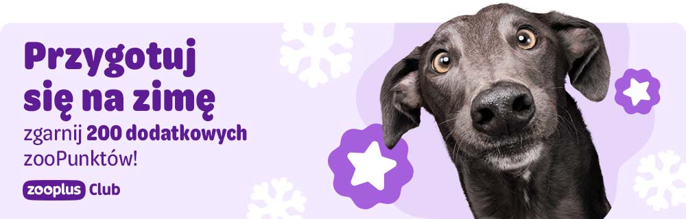 Przygotuj się na zimę i zgarnij 200 dodatkowych zooPunktów z zooplus Club.