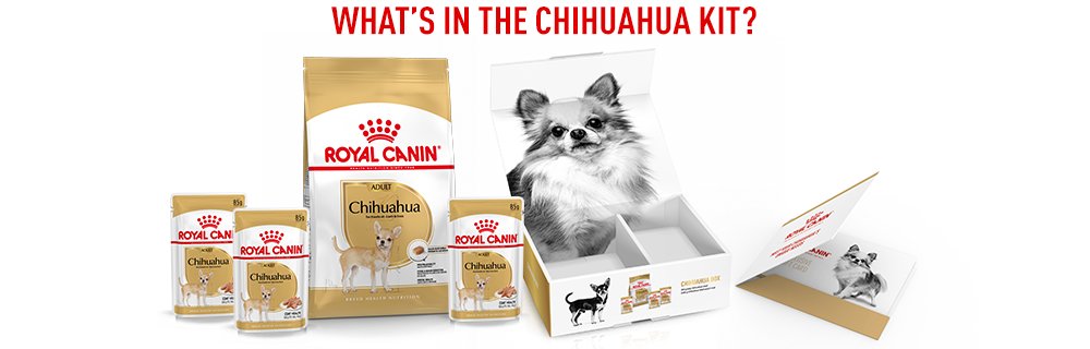 Here's what you'll find in the Chihuahua Box