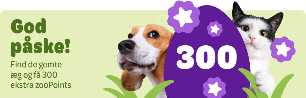 God påske - Find de gemte æg og få op til 300 ekstra zooPoints