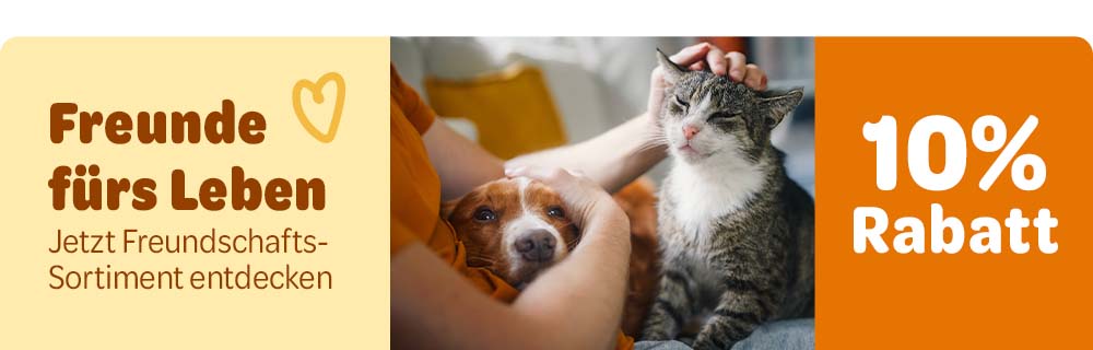 Tag der Freundschaft. 10% Rabatt auf Snacks und ausgewähltes Zubehör.