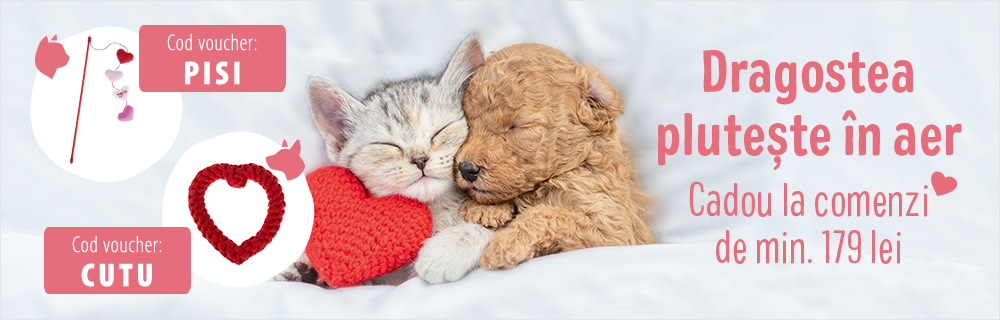 Pune în coș codul PISI sau CUTU!