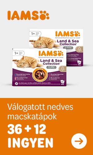 IAMS. Válogatott nedves macskatápok. 36 + 12 INGYEN