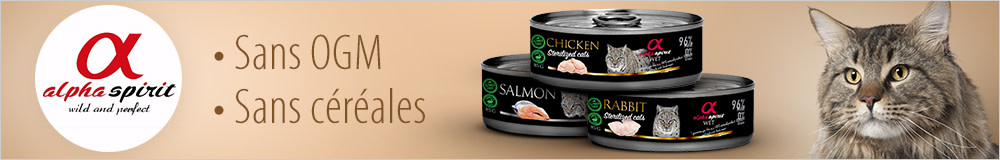 Boîtes Alpha spirit pour chat