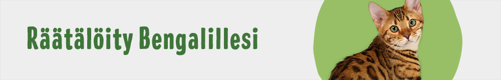 Cat Breed Bengal 1000x160 FI