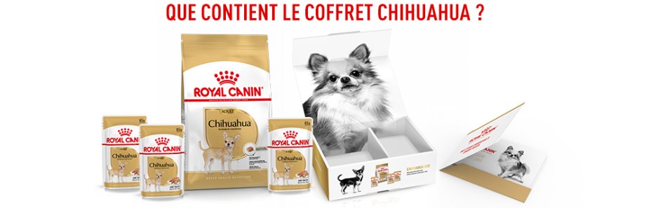 Que contient votre box Royal Canin Chihuahua ?