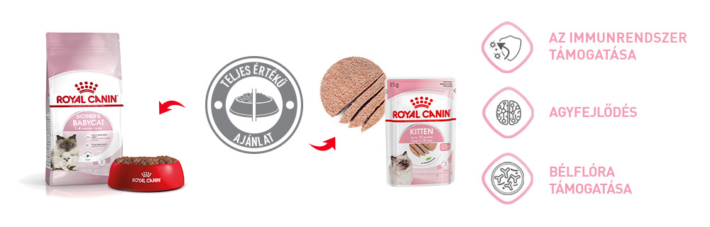 Royal Canin Kitten Vegyes tálpálkozás