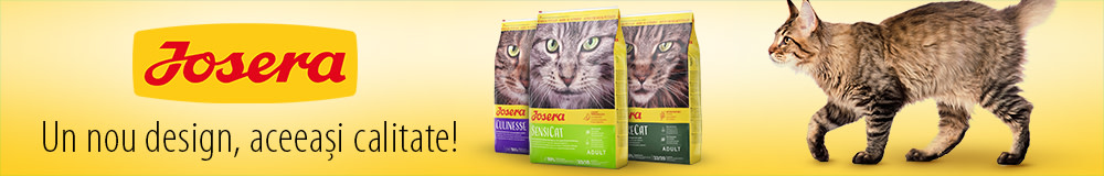 Hrană uscată de calitate premium pentru pisici