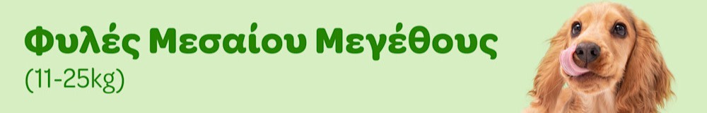 Φυλές Μεσαίου Μεγέθους