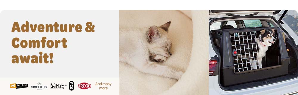 Adventure & Comfort await!