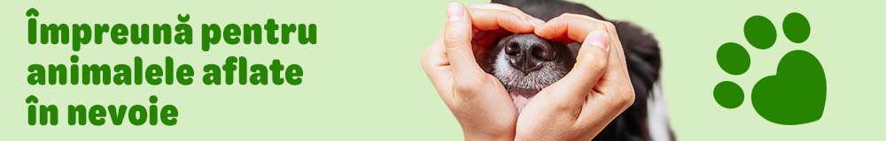 zooplus ajută! Împreună pentru animalele aflate în nevoie