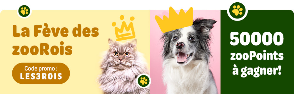 La Fève des zooRois 