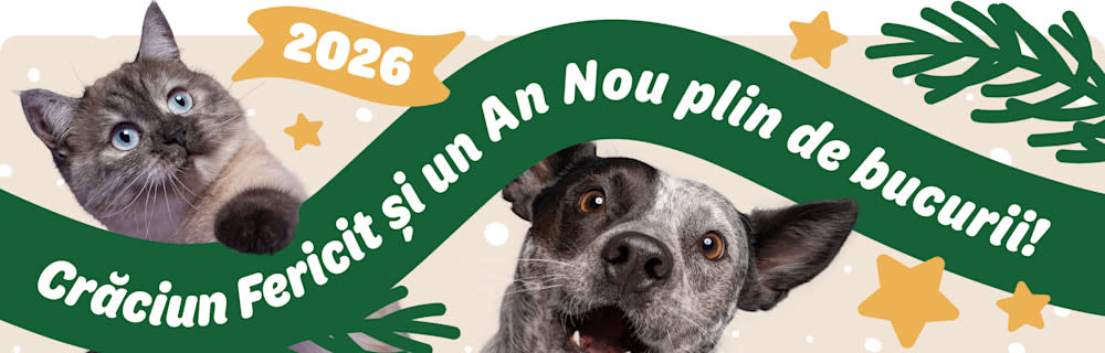 Crăciun Fericit și un An Nou plin de bucurii!