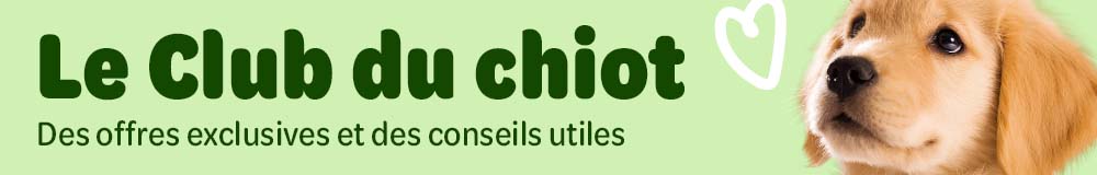 Notre Club du chiot vous accompagnera gratuitement tout au long de la croissance de votre chiot.