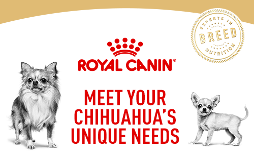 zooplus royal canin chihuahua