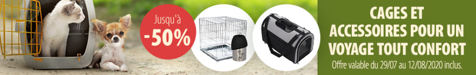 Jusqu'à - 50 % sur les cages et accessoires de transport pour chien et chat !