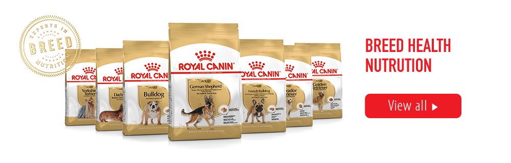 Royal canin hotsell $5 coupon