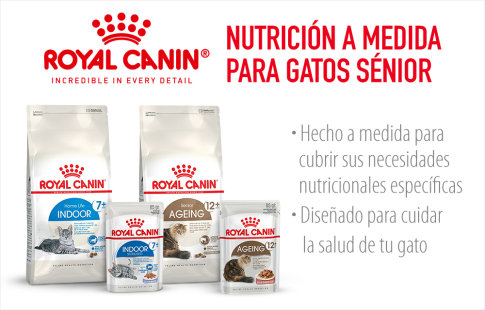 Royal Canin. Nutrición a medida para gatos sénior