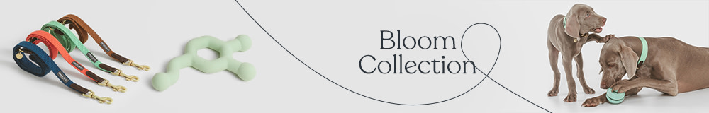 Colección Bloom 