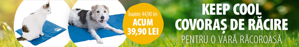 Oferă-i o vară răcoroasă!