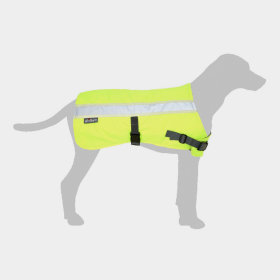 Manteau réfléchissant et gilet de sécurité pour chien