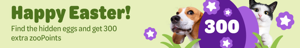 Happy Easter! Find the hidden eggs and get 300 extra zooPoints