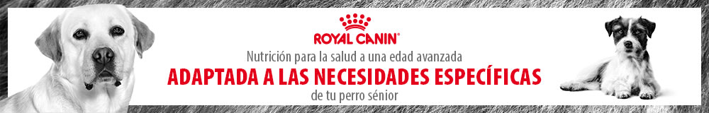 Pienso Royal Canin para perros sénior