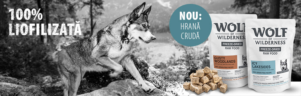 Încearcă acum! Cumpără 250 g Wolf of Wilderness Hrană crudă liofilizată pentru câini cu 20% reducere!