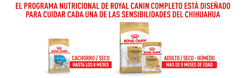 Royal Canin Chihuahua
