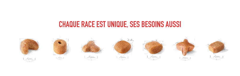 Chaque race est unique, ses besoins aussi