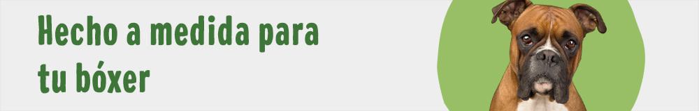 Bóxer