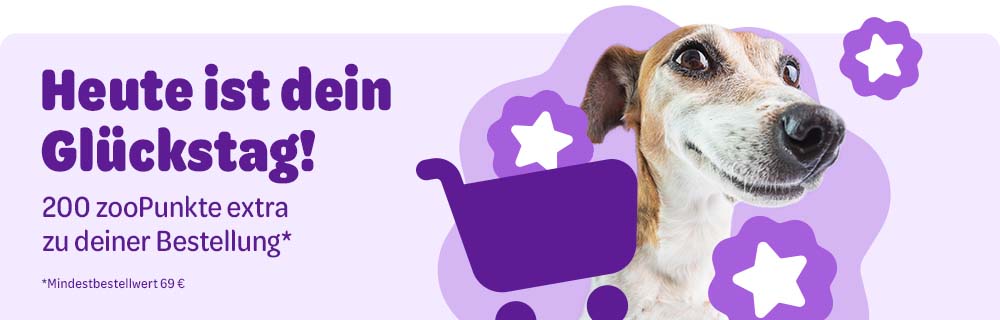 Heute ist dein Glückstag. 200 zooPunkte extra zu deiner Bestellung* *Mindestbestellwert 69€