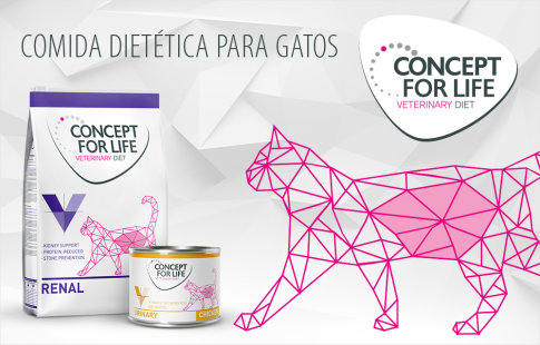 Concept for Life Veterinary Diet para gatos 