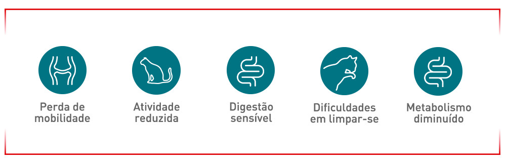 Sinais aos quais é importante estar atento