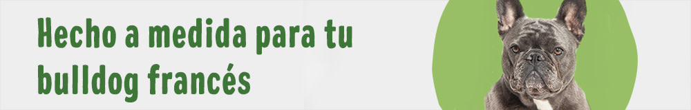 Hecho a medida para tu bulldog francés
