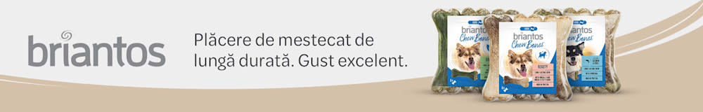 Briantos: plăcere de mestecat de lungă durată. Gust excelent
