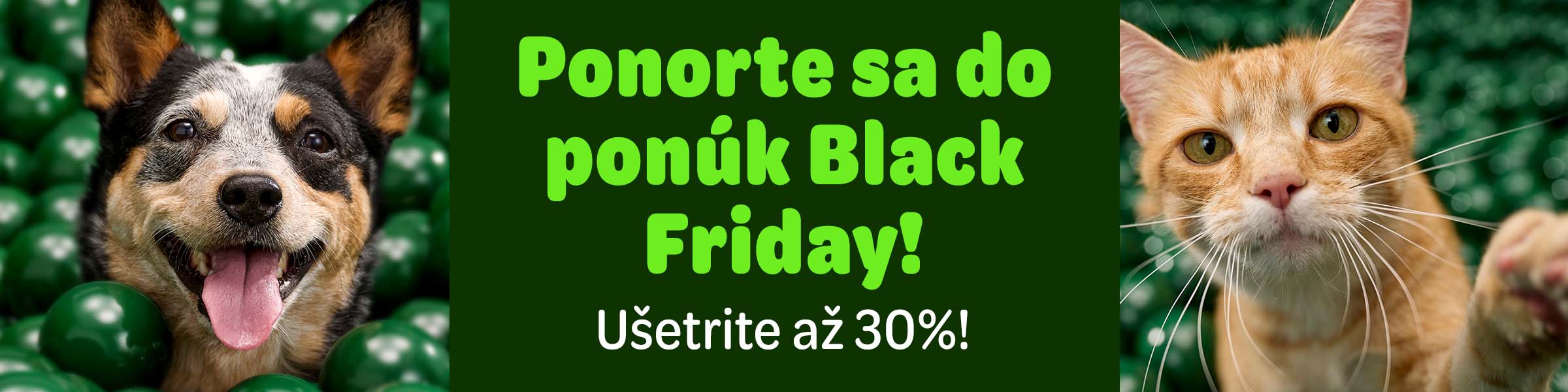 Objavte najlepšie ponuky roka.