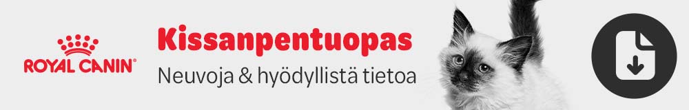 Kissanpentuopas 