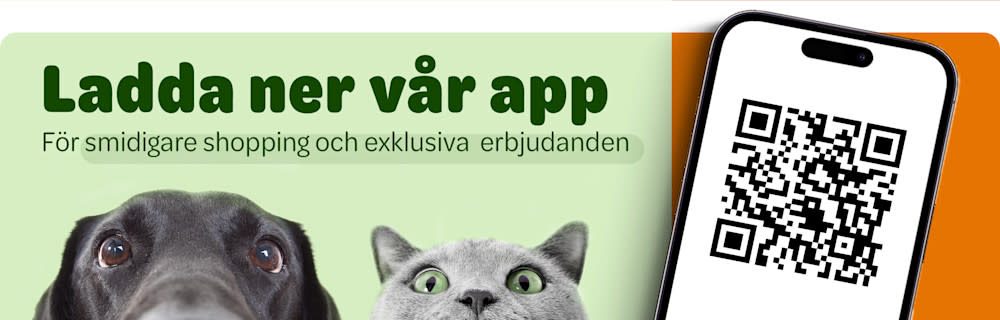 Ladda ner vår app 