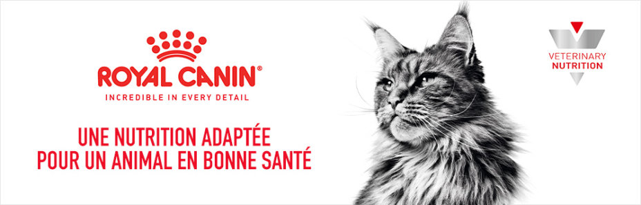 Royal Canin Veterinary pour chat