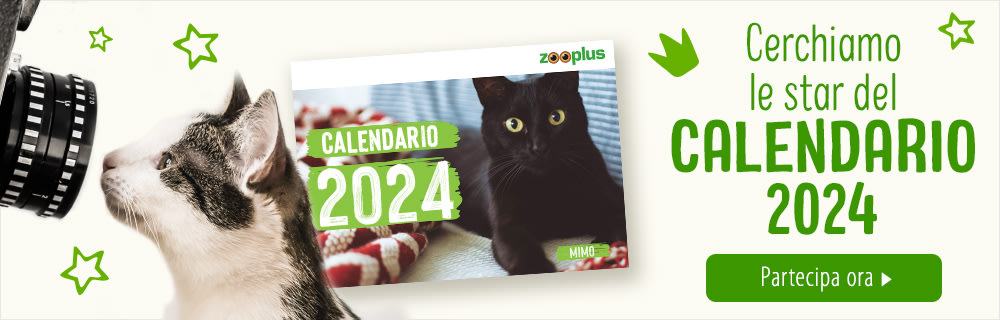 ⭐Pet Star cercasi: i tuoi Pet protagonisti del calendario 2024!