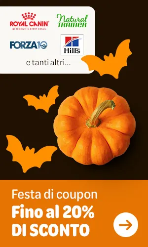 Fino al 20% di sconto su una selezione di marche!