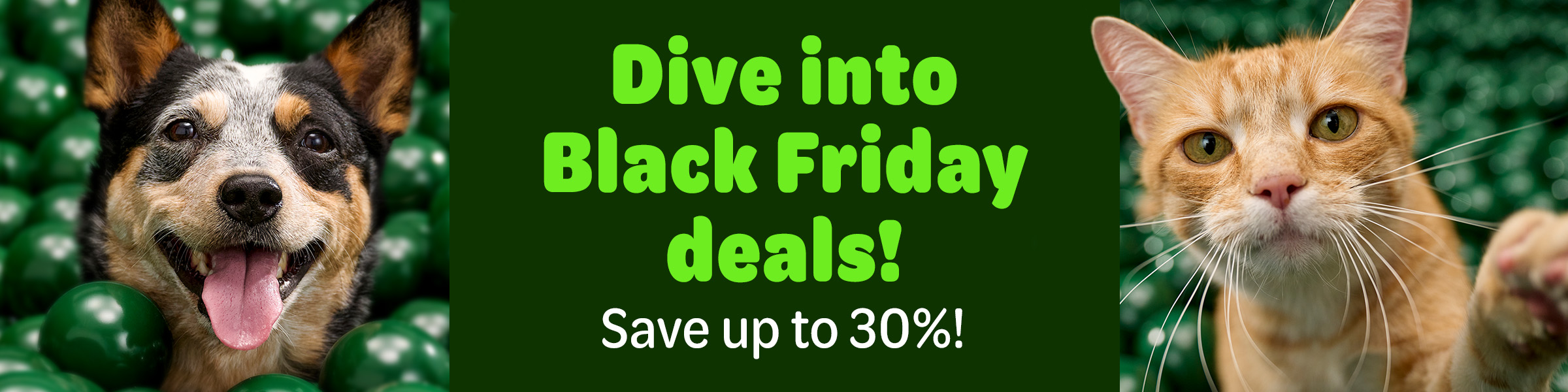 Discover the best deals of the year.