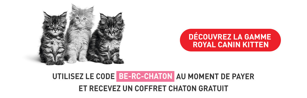 Recevez un coffret Royal canin pour chaton en cadeau !