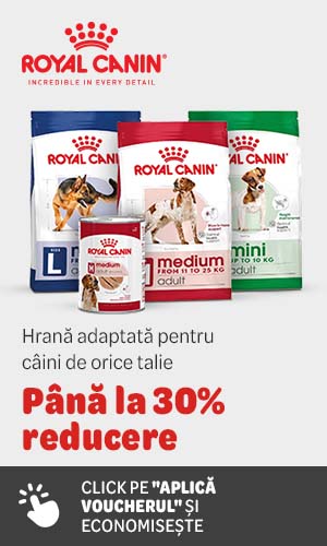 Până la 30% reducere la hrană pentru câini Royal Canin Size