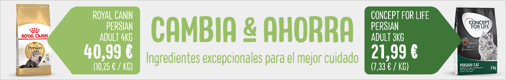 Concept for Life Persian Adult pienso para gatos