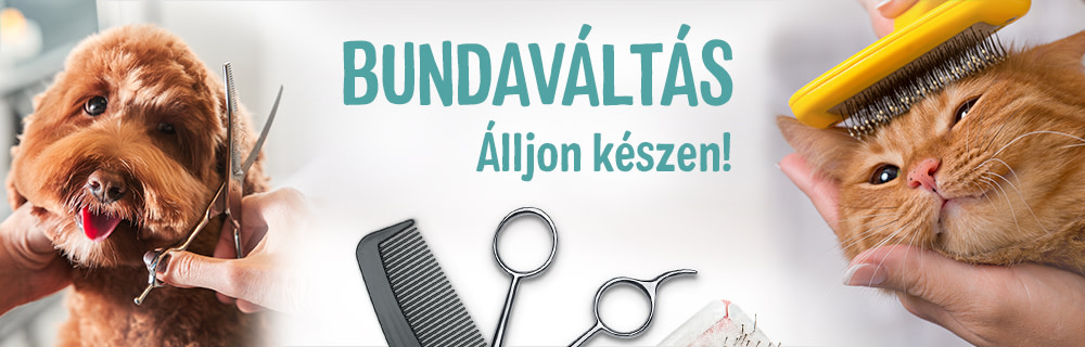 Bundaváltás kutyáknál és macskáknál