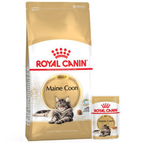 Royal Canin Feline Breed Nutrition pour chat