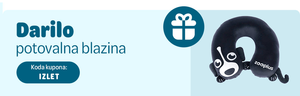 Darilo potovalna blazina. Koda kupona: IZLET