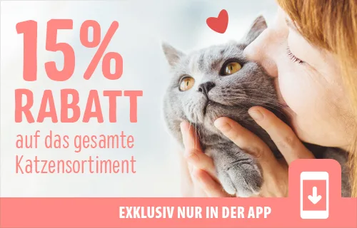 15% Rabatt auf das gesamte Katzensortiment
